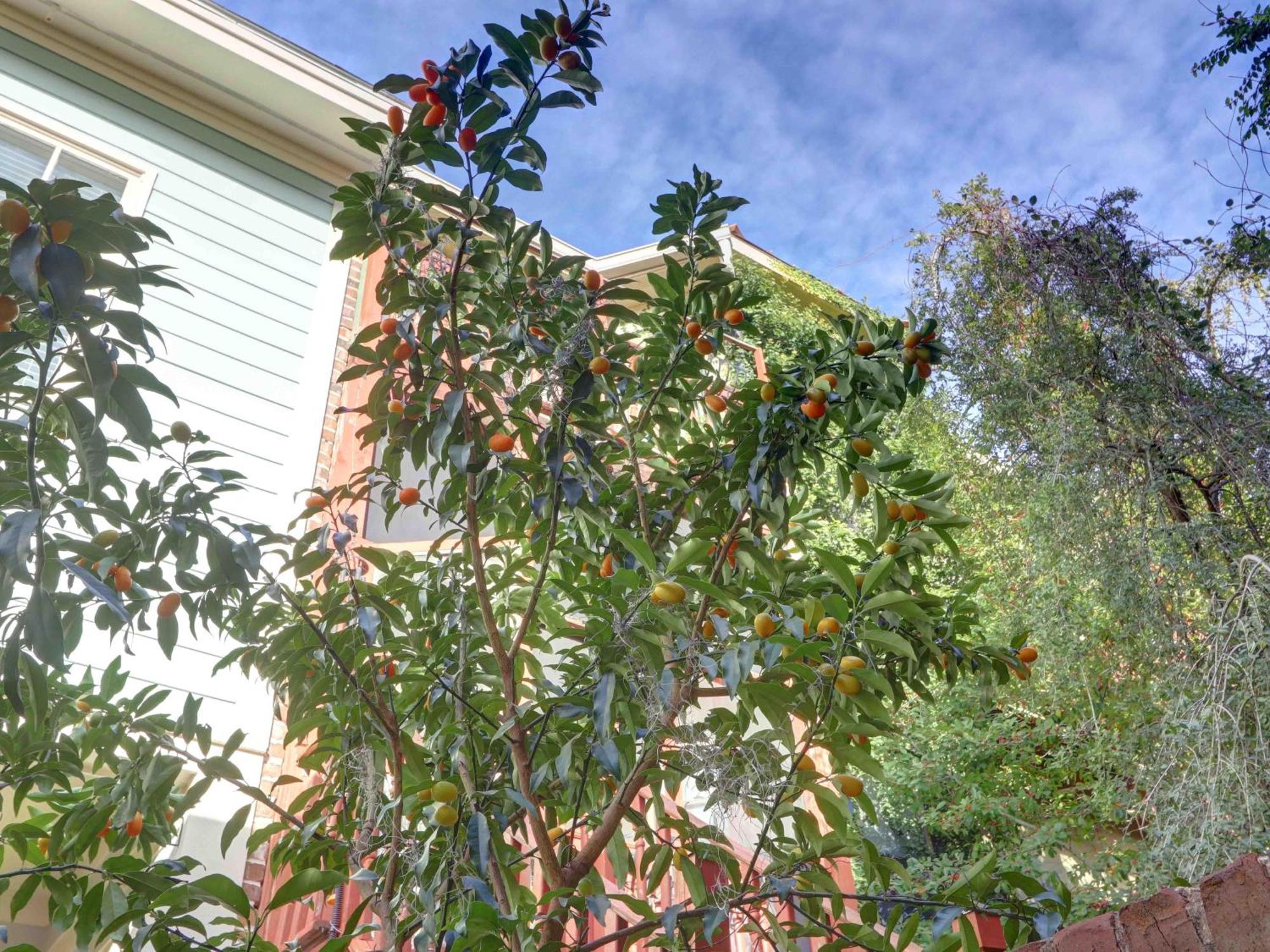 Apartamento Crawford Carriage House Savannah Exterior foto